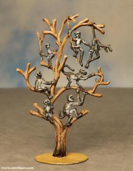 Affenbaum 