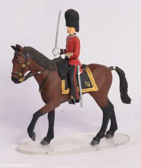 Colonel of the Scots Guards 