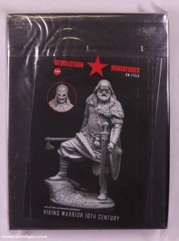 Wikinger Krieger 
